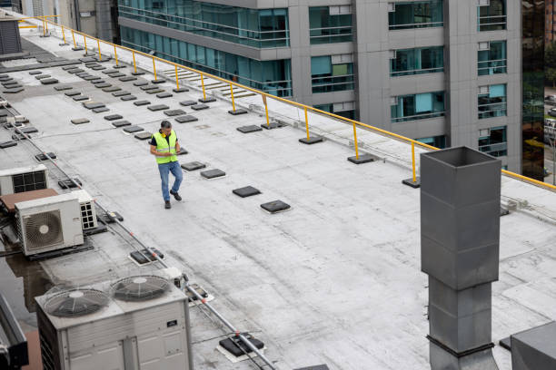 Best Cold Roofs  in Cortland, NY